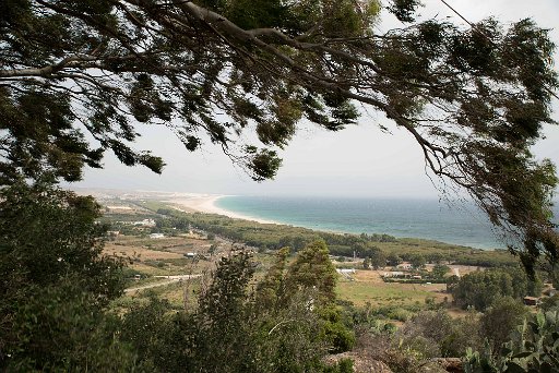 Tarifa_2016_Am Campo_006.jpg